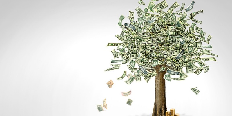 Money tree made of hundred dollar bills